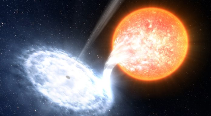 Cele mai puternice forte din univers