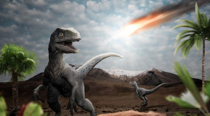 Jungla Amazon: creata de asteroidul care a provocat disparitia dinozaurilor