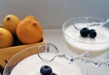 Mousse de iaurt si lamaie