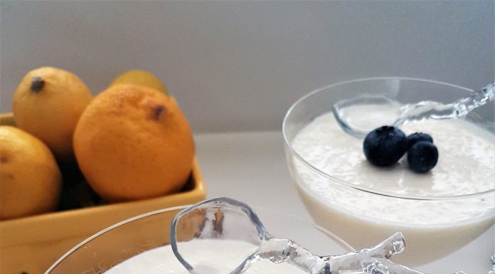 Mousse de iaurt si lamaie