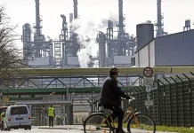 Lipsa de calificare in Europa: jumatate dintre solicitanti nu sunt calificati